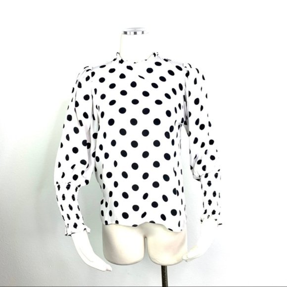 Zara Tops - ZARA Polka Dot Sheer Long Sleeve Blouse
